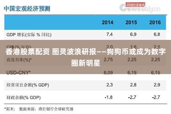 香港股票配资 图灵波浪研报——狗狗币或成为数字圈新明星