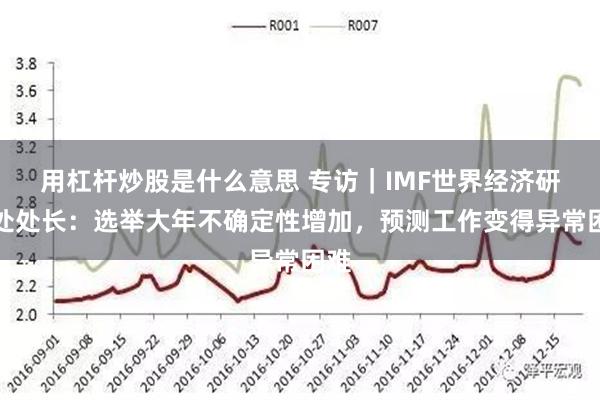 用杠杆炒股是什么意思 专访｜IMF世界经济研究处处长：选举大年不确定性增加，预测工作变得异常困难