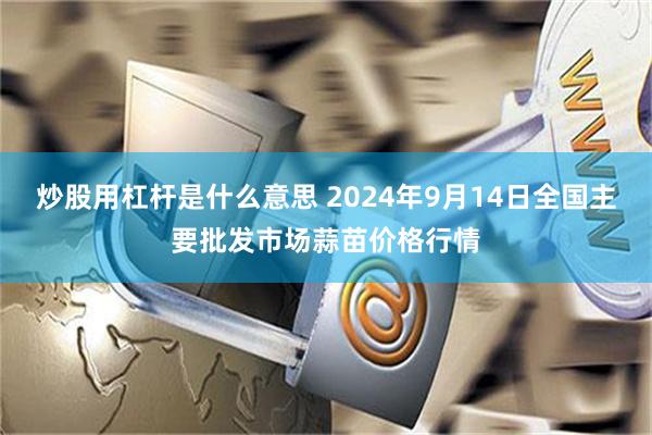 炒股用杠杆是什么意思 2024年9月14日全国主要批发市场蒜苗价格行情