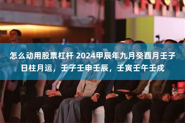 怎么动用股票杠杆 2024甲辰年九月癸酉月壬子日柱月运，壬子壬申壬辰，壬寅壬午壬戌