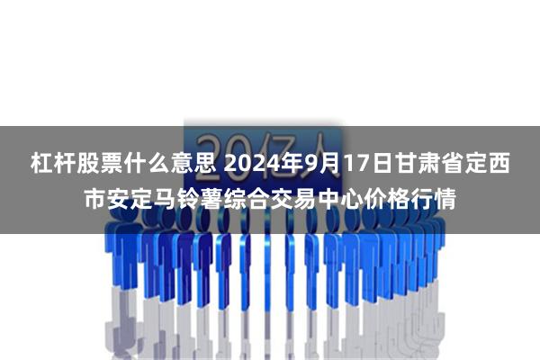 杠杆股票什么意思 2024年9月17日甘肃省定西市安定马铃薯综合交易中心价格行情