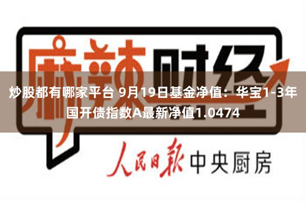 炒股都有哪家平台 9月19日基金净值：华宝1-3年国开债指数A最新净值1.0474