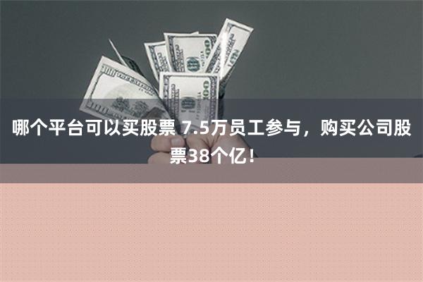 哪个平台可以买股票 7.5万员工参与，购买公司股票38个亿！