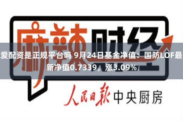 爱配资是正规平台吗 9月24日基金净值：国防LOF最新净值0.7339，涨3.09%