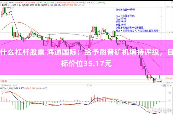 什么杠杆股票 海通国际：给予耐普矿机增持评级，目标价位35.17元