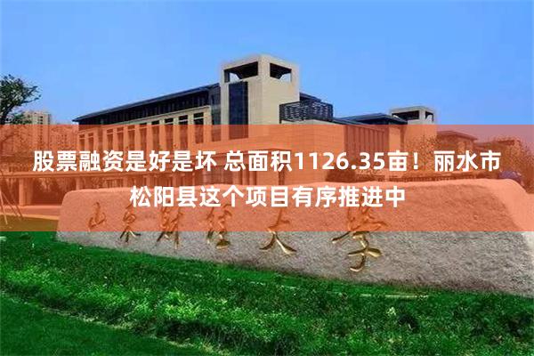 股票融资是好是坏 总面积1126.35亩！丽水市松阳县这个项目有序推进中