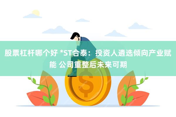 股票杠杆哪个好 *ST合泰：投资人遴选倾向产业赋能 公司重整后未来可期