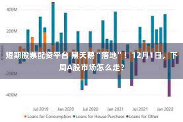 短期股票配资平台 黑天鹅“落地”！12月1日，下周A股市场怎么走？