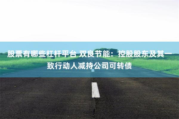 股票有哪些杠杆平台 双良节能：控股股东及其一致行动人减持公司可转债