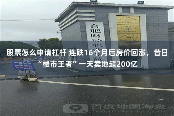 股票怎么申请杠杆 连跌16个月后房价回涨，昔日“楼市王者”一天卖地超200亿